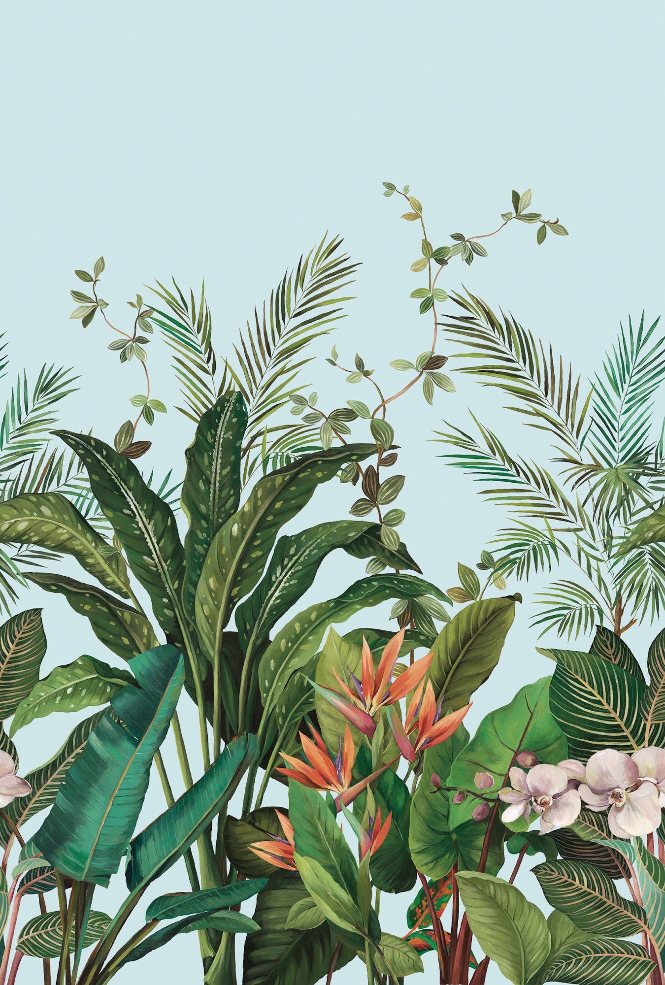 Bird of Paradise Mural Blue Daisy Bennett Wallpaper by Galerie