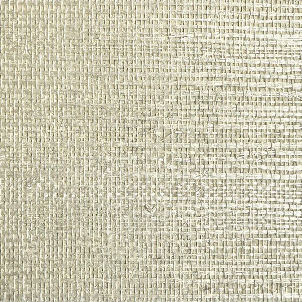 Stella Sisal Cream Daisy Bennett Wallpaper by Galerie