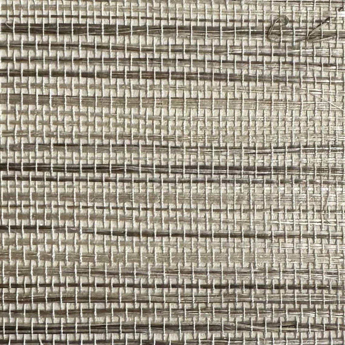 Langsey Sisal Beige Daisy Bennett Wallpaper by Galerie