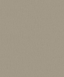 DC30043 Abstract Lines Beige Wallpaper by Galerie