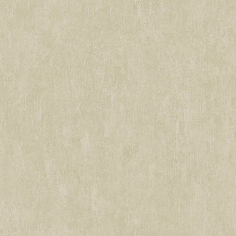 DC30081 Plain Weathered Effect Beige Wallpaper by Galerie