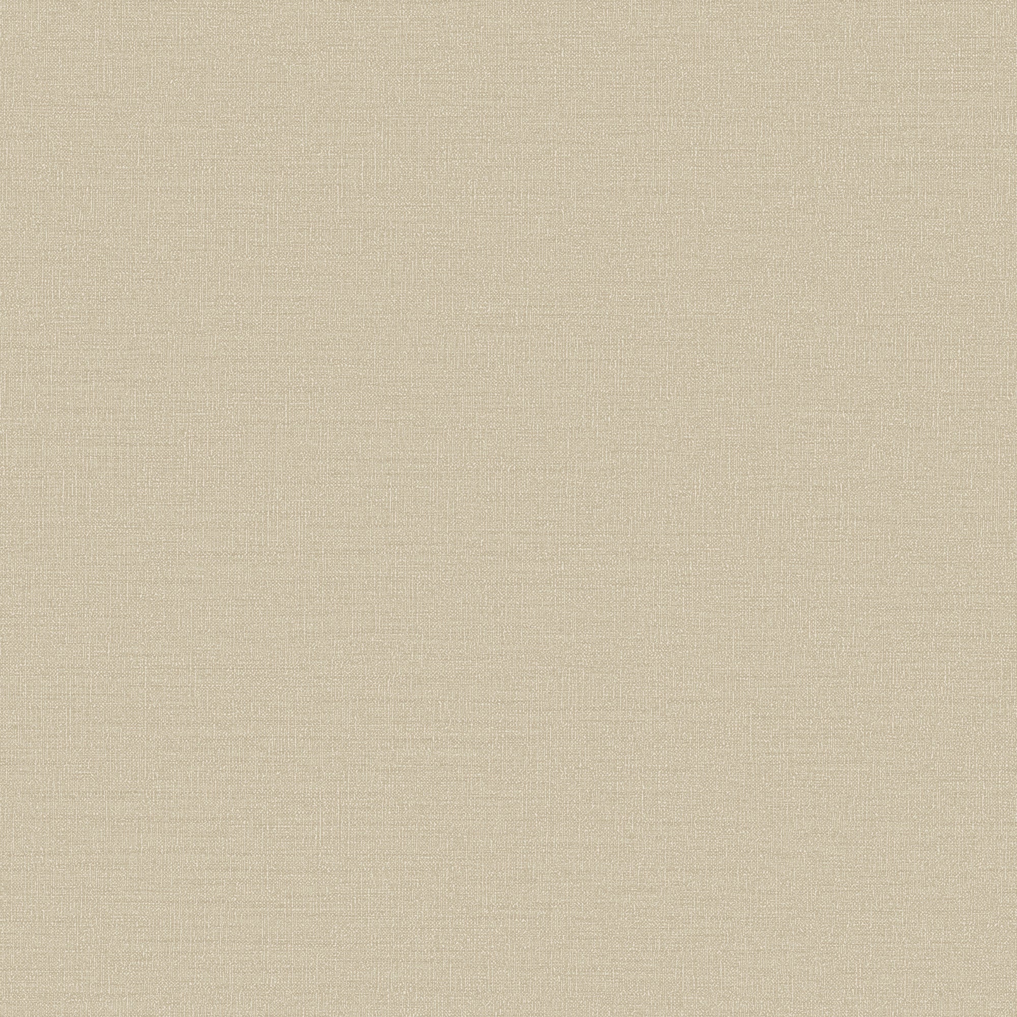DC30117 Abstract Texture Beige Wallpaper by Galerie