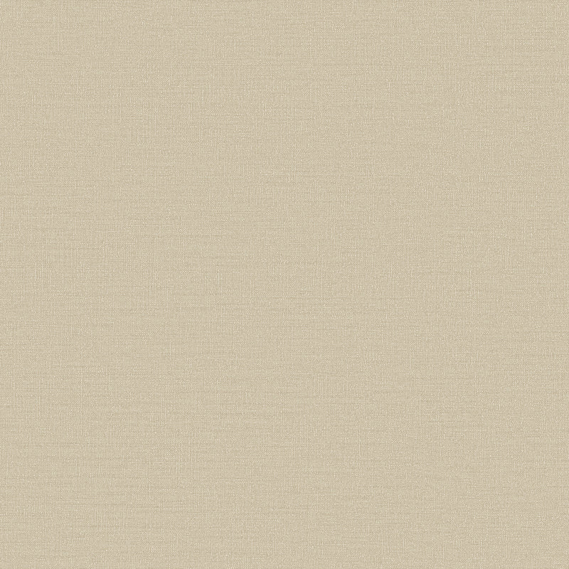 DC30117 Abstract Texture Beige Wallpaper by Galerie
