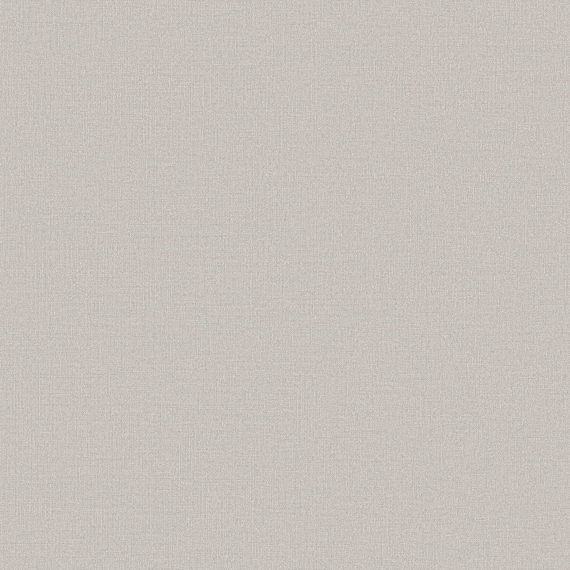 DC30118 Abstract Texture Beige Wallpaper by Galerie