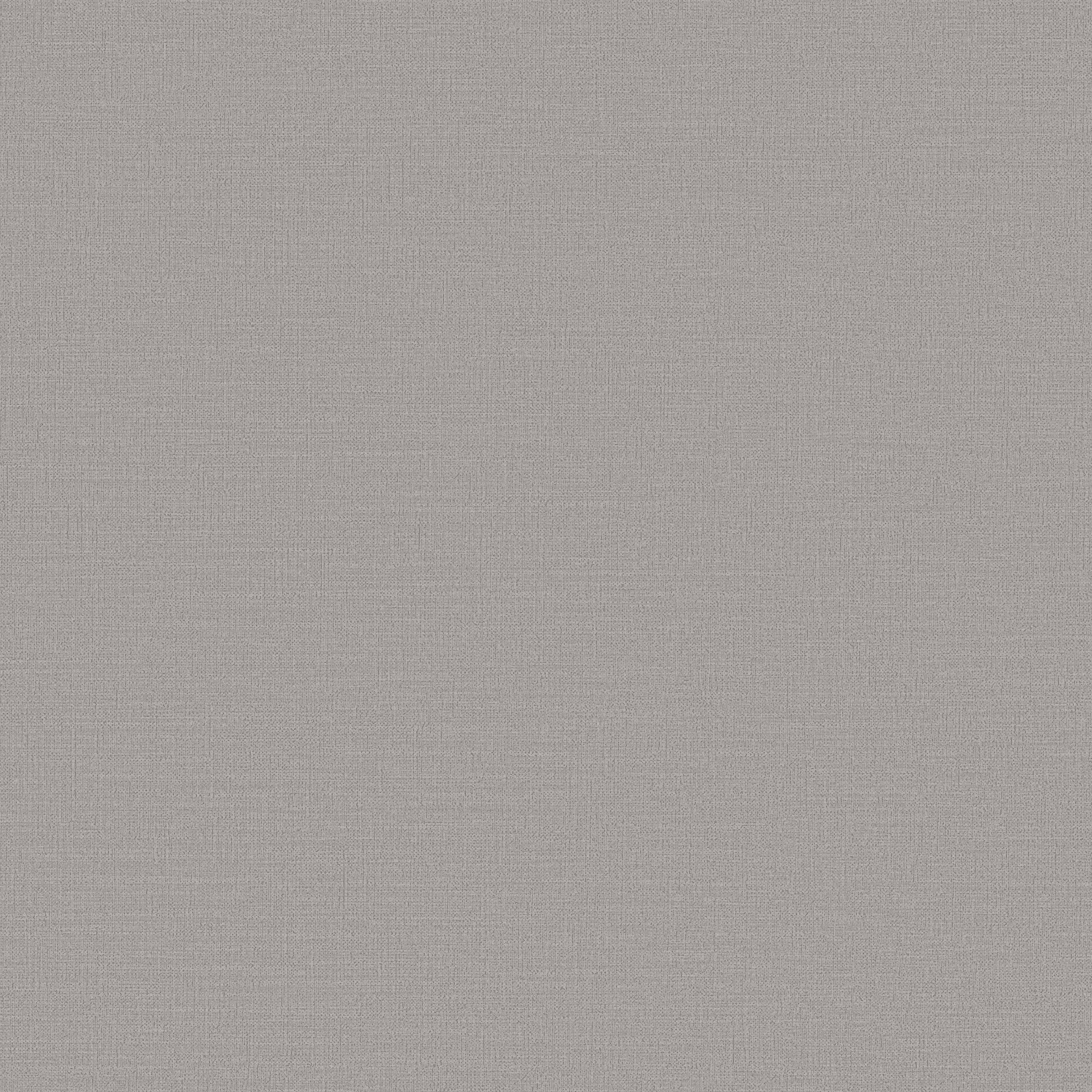 DC30119 Abstract Texture Silver Grey Wallpaper by Galerie