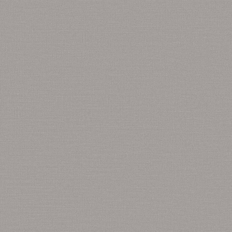 DC30119 Abstract Texture Silver Grey Wallpaper by Galerie