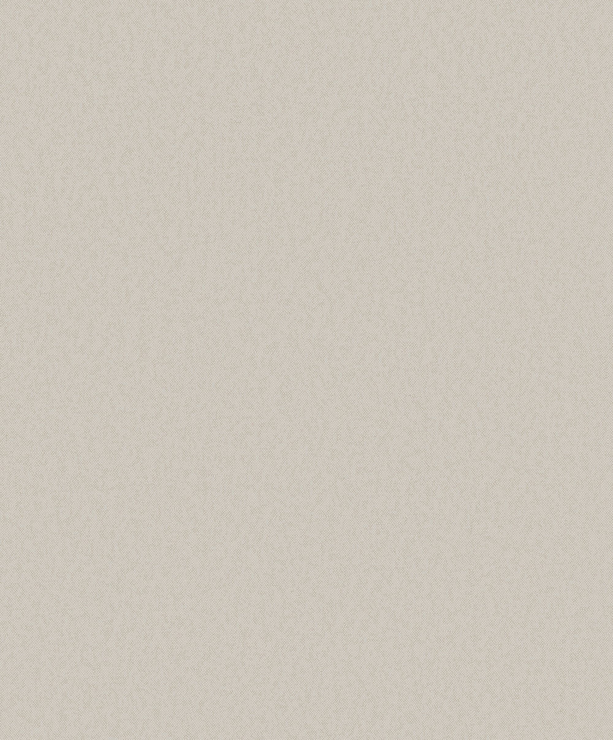 DC30134 Even Texture Beige Wallpaper by Galerie