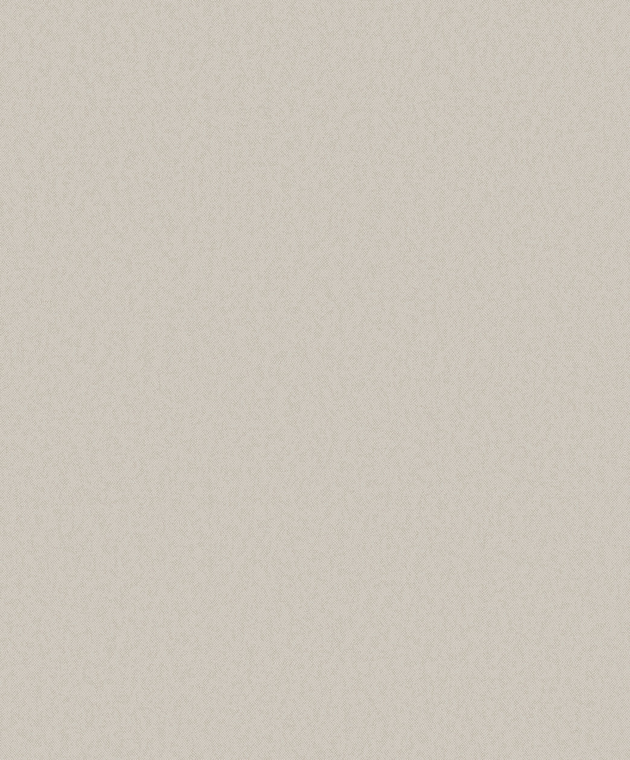 DC30134 Even Texture Beige Wallpaper by Galerie