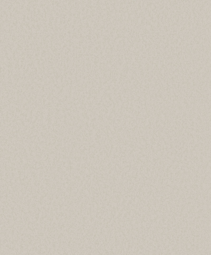 DC30134 Even Texture Beige Wallpaper by Galerie