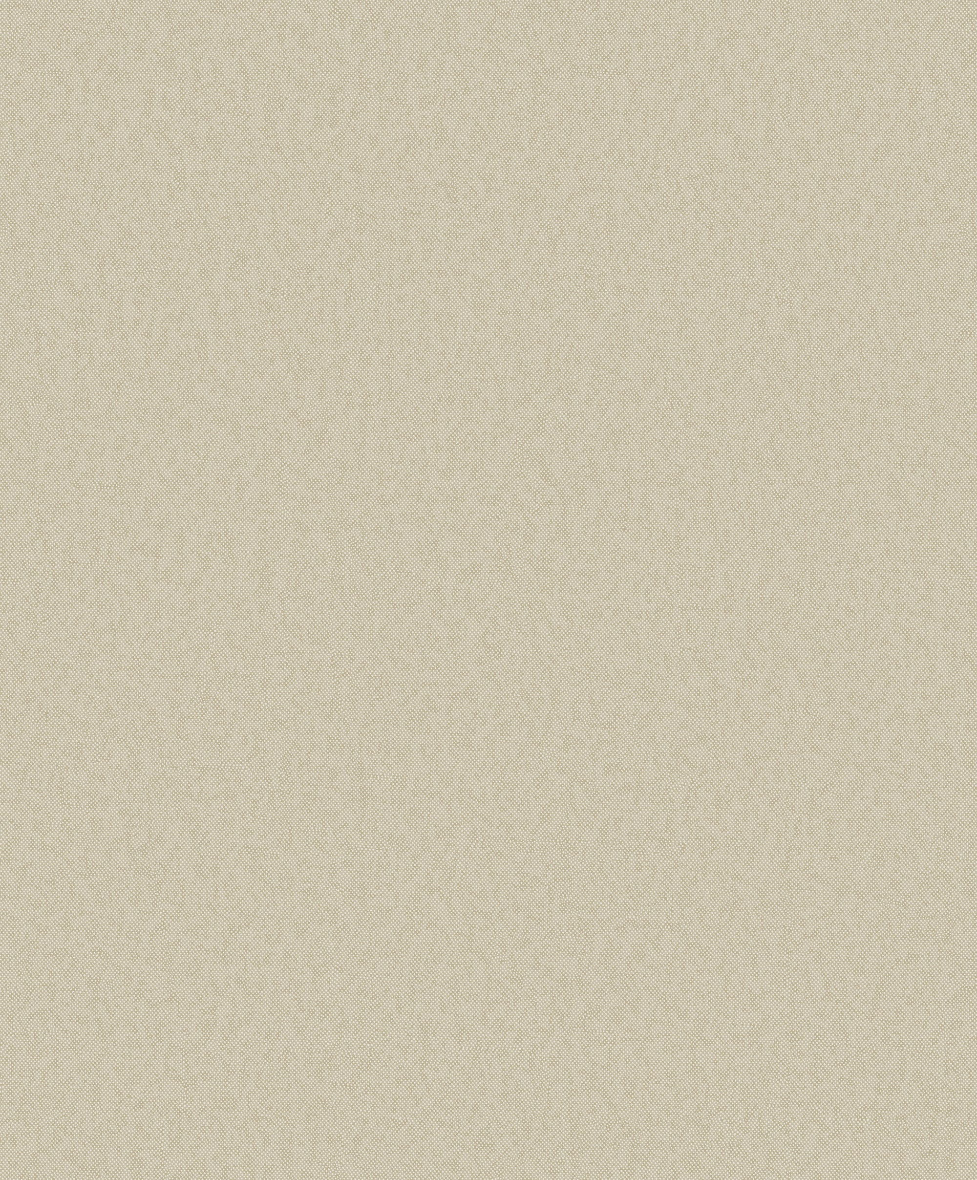 DC30135 Even Texture Beige Wallpaper by Galerie