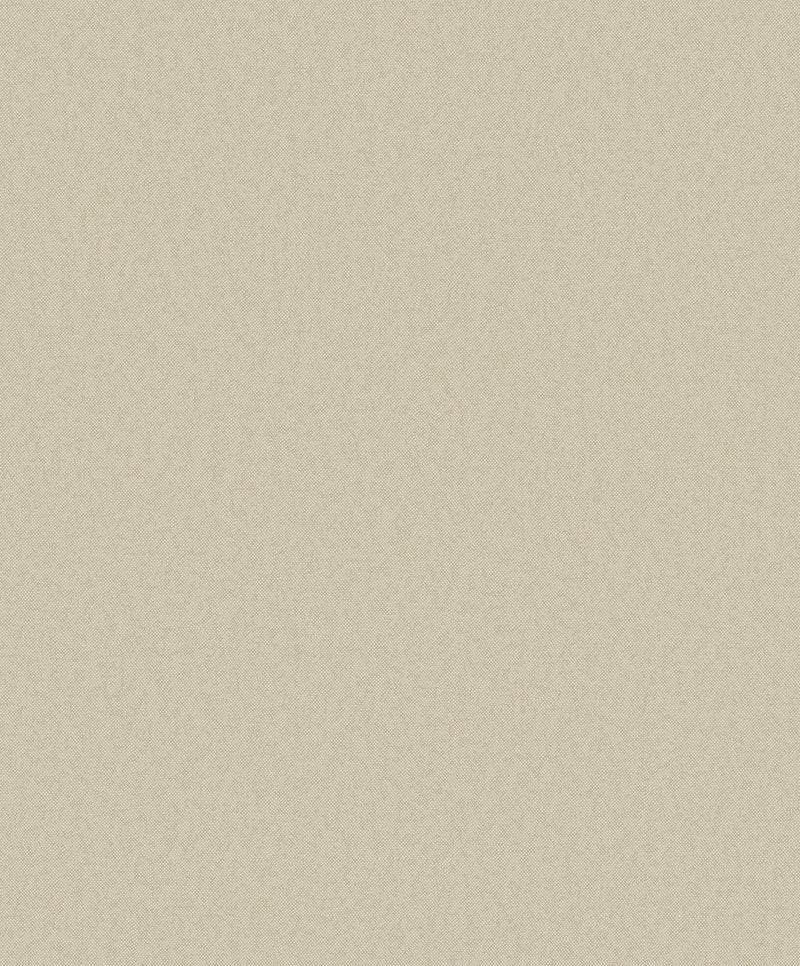 DC30135 Even Texture Beige Wallpaper by Galerie