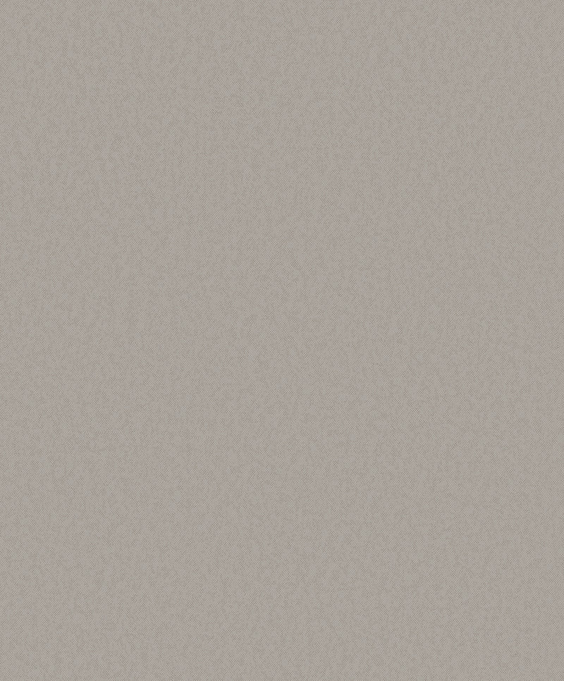 DC30145 Close Texture Silver Grey Wallpaper by Galerie