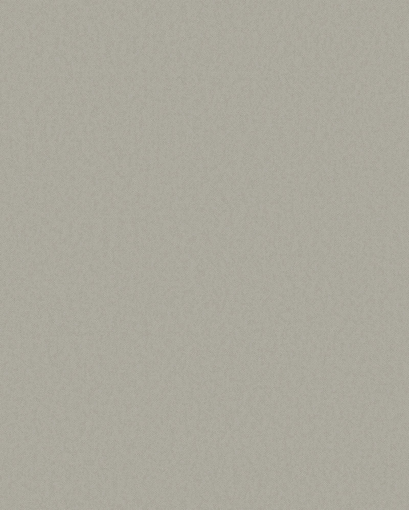 DC30154 Raised Texture Silver Grey Wallpaper by Galerie