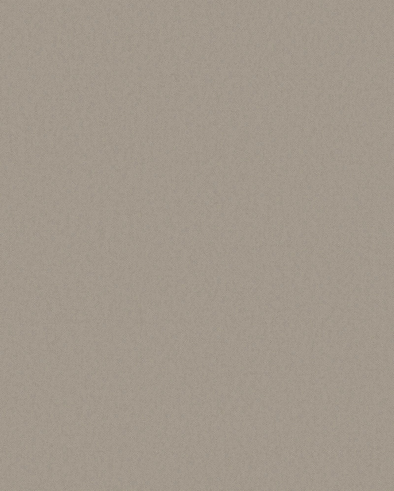 DC30156 Raised Texture Beige Wallpaper by Galerie