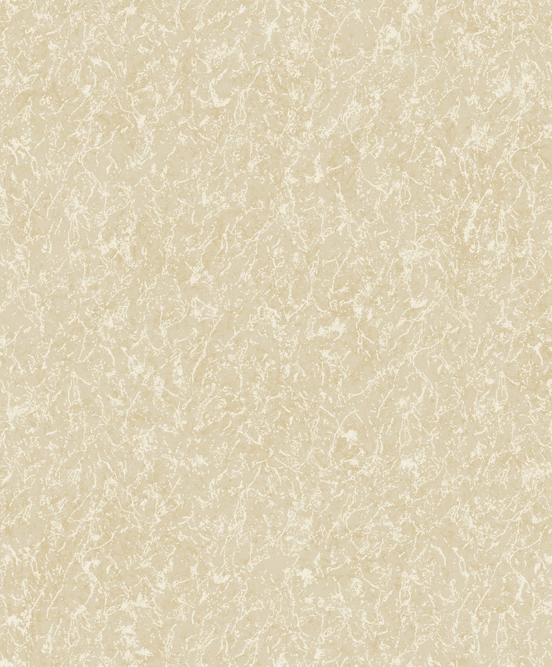 DC30163 Worn Texture Beige Wallpaper by Galerie