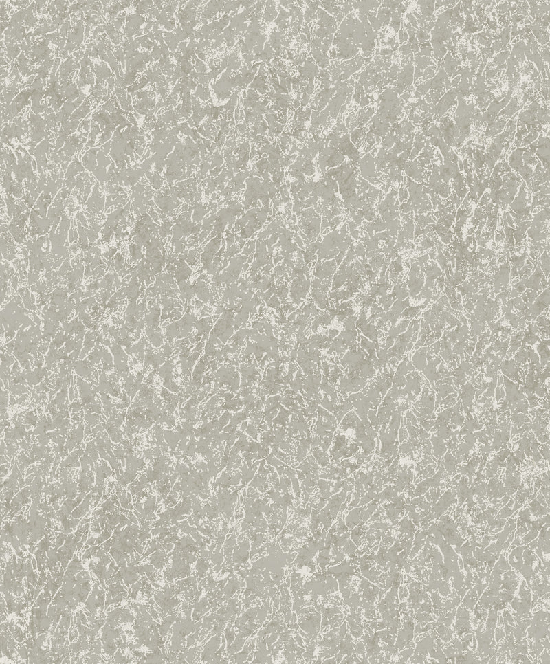 DC30164 Worn Texture Silver Grey Wallpaper by Galerie
