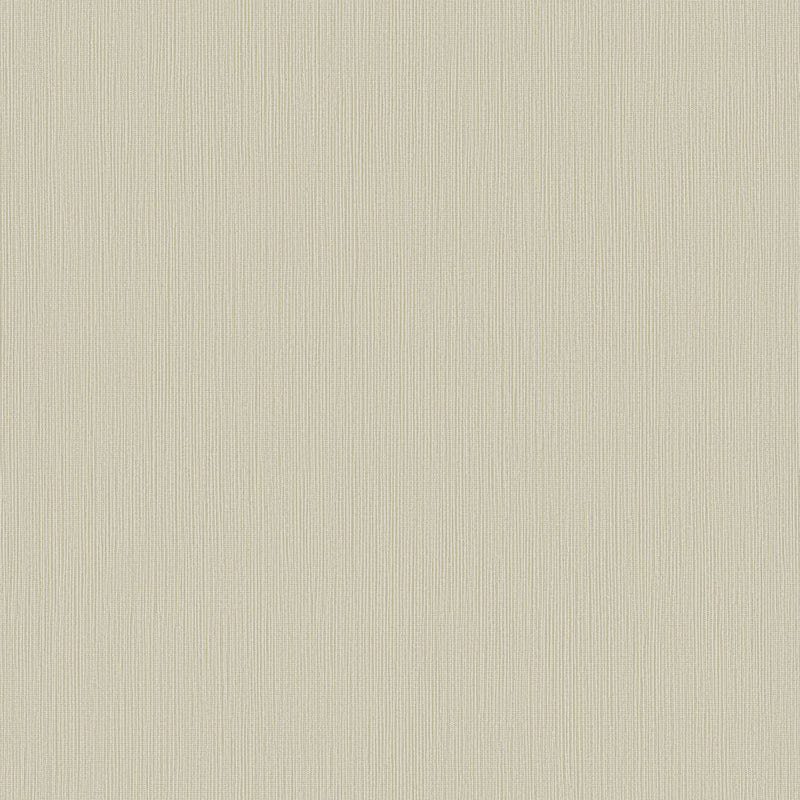 DC30191 Stripe Texture Beige Wallpaper by Galerie