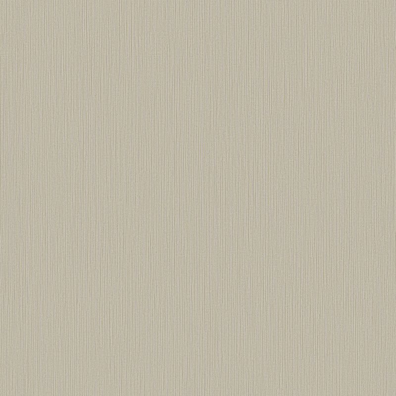 DC30192 Stripe Texture Beige Wallpaper by Galerie