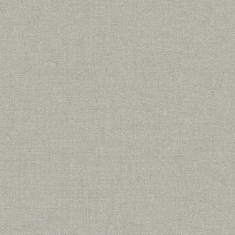 DC30202 Fine Lines Texture Silver Grey Wallpaper by Galerie