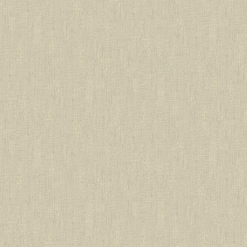 DC30222 Weathered Texture Beige Wallpaper by Galerie