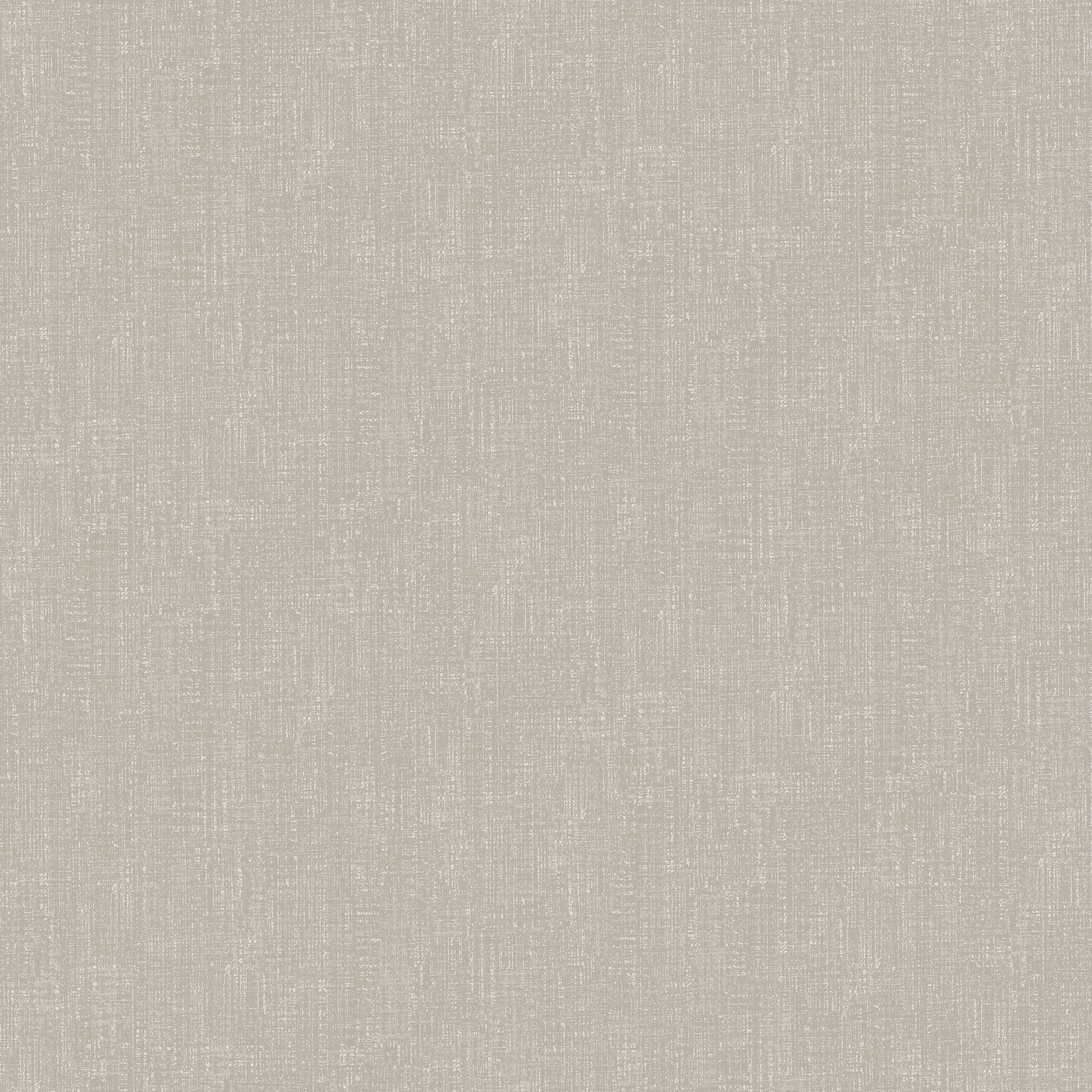 DC30223 Weathered Texture Silver Grey Wallpaper by Galerie
