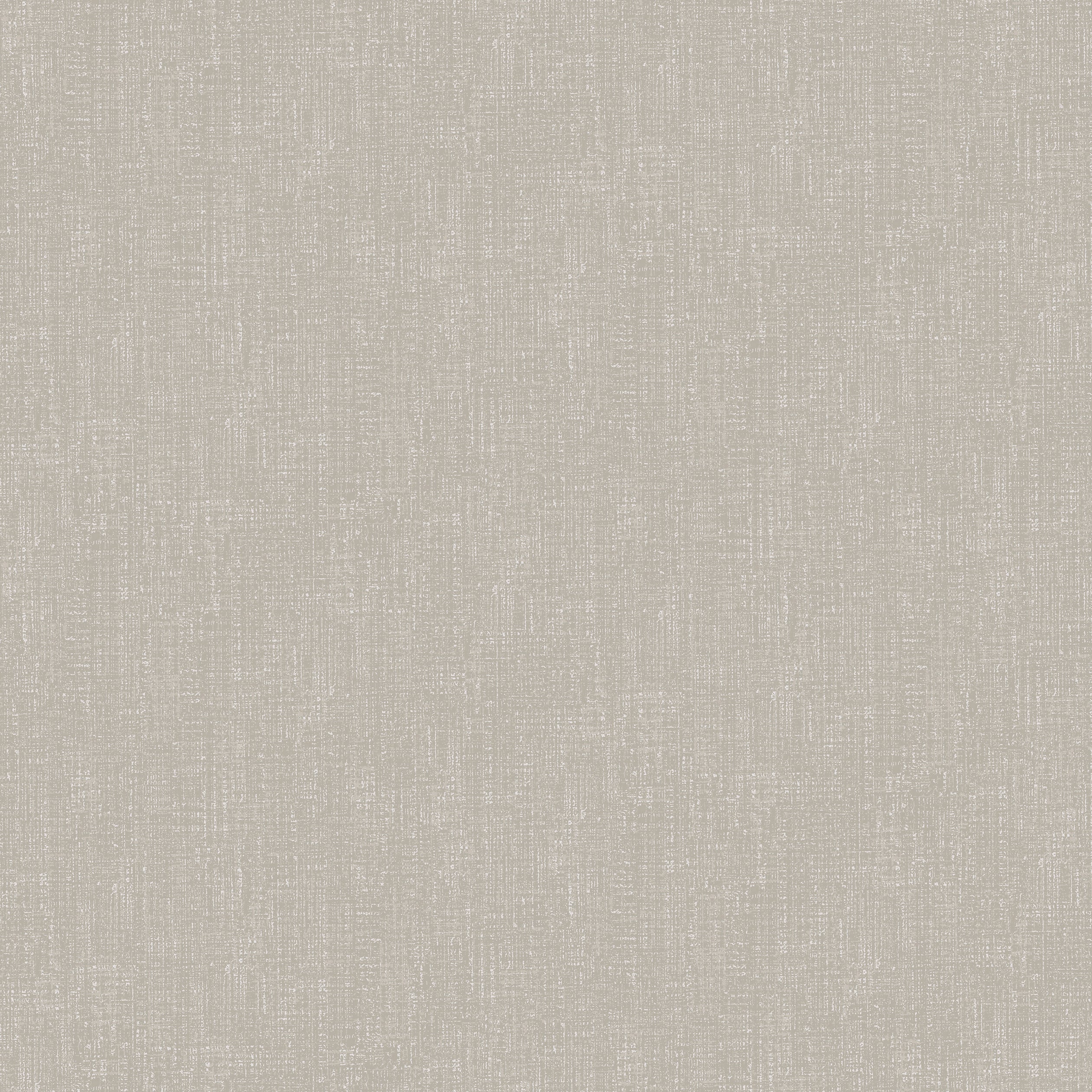 DC30223 Weathered Texture Silver Grey Wallpaper by Galerie