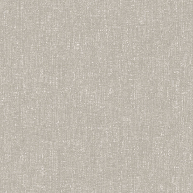 DC30223 Weathered Texture Silver Grey Wallpaper by Galerie