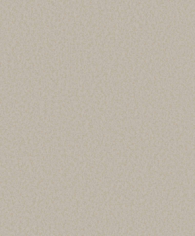 DC30241 Fine Texture Beige Wallpaper by Galerie