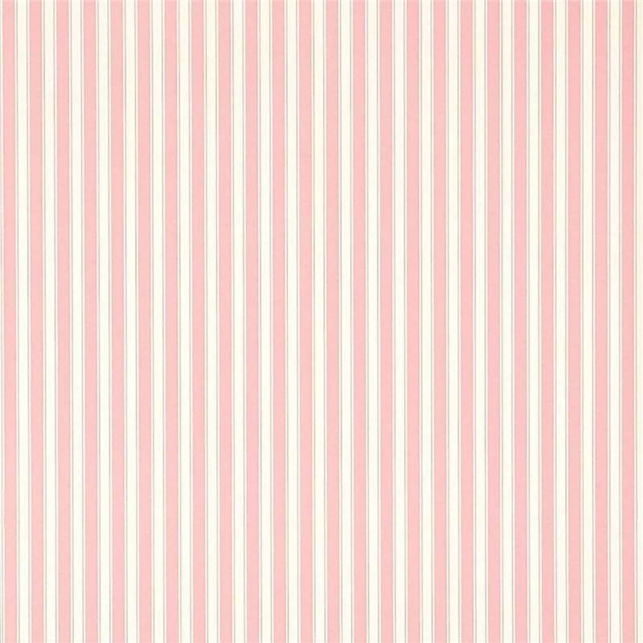 DCAVTP101 New Tiger Stripe One Sixty Wallpaper By Sanderson