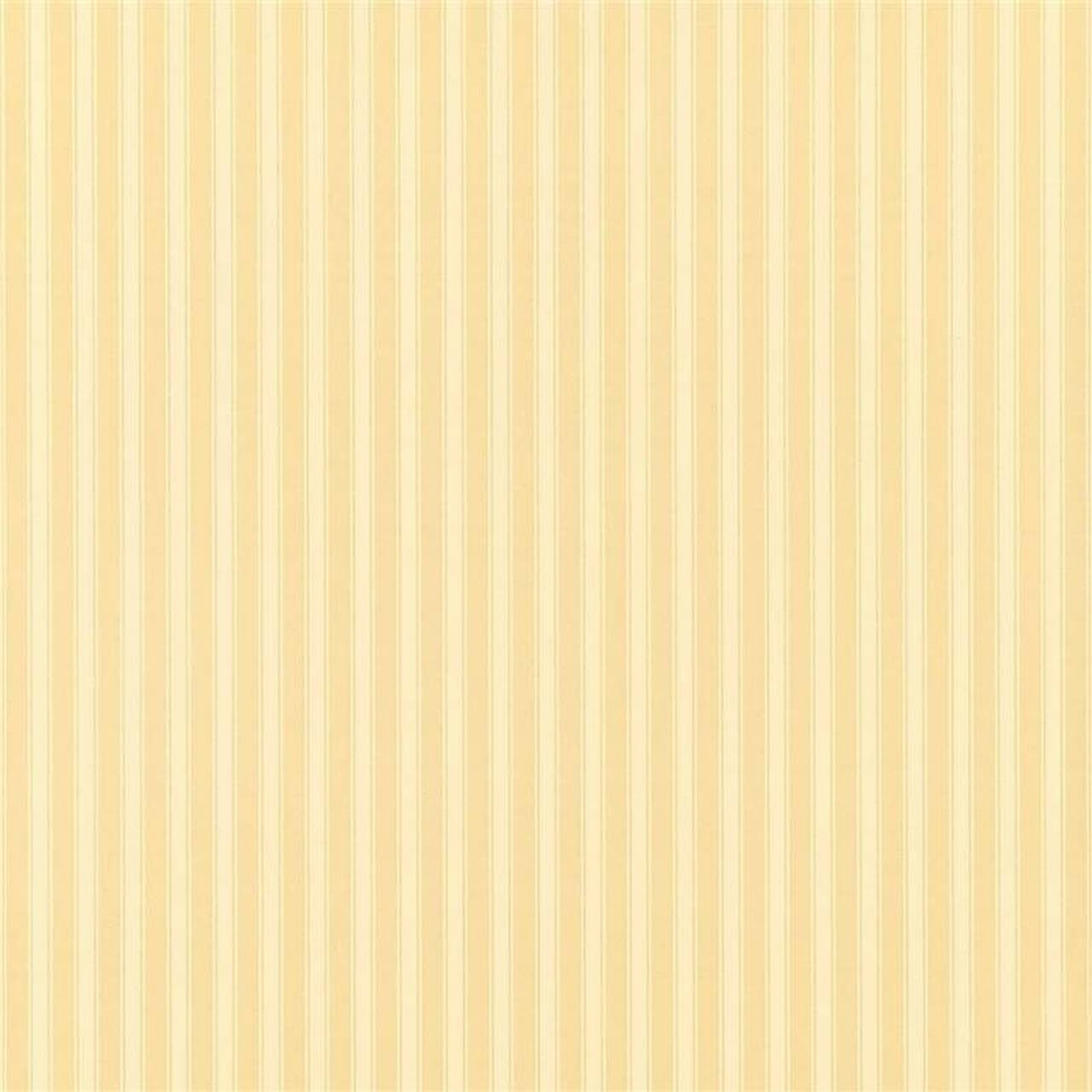 DCAVTP104 New Tiger Stripe One Sixty Wallpaper By Sanderson