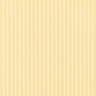 DCAVTP104 New Tiger Stripe One Sixty Wallpaper By Sanderson
