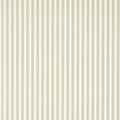 New Tiger Stripe One Sixty Wallpaper By Sanderson