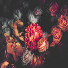 DD118510 Romantic Flowers Designwalls Wallpaper by A S Creation