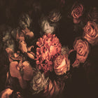 Romantic Flowers Designwalls Wallpaper by A S Creation