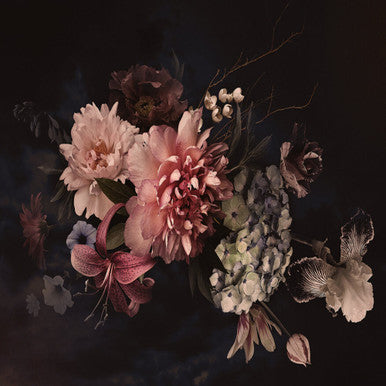 Blossom Variety Designwalls Wallpaper by A S Creation