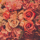 Flower Wall Designwalls Wallpaper by A S Creation