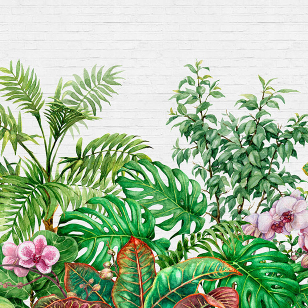DD118530 Tropical Wall Designwalls Wallpaper by A S Creation