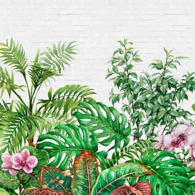 Tropical Wall Designwalls Wallpaper by A S Creation