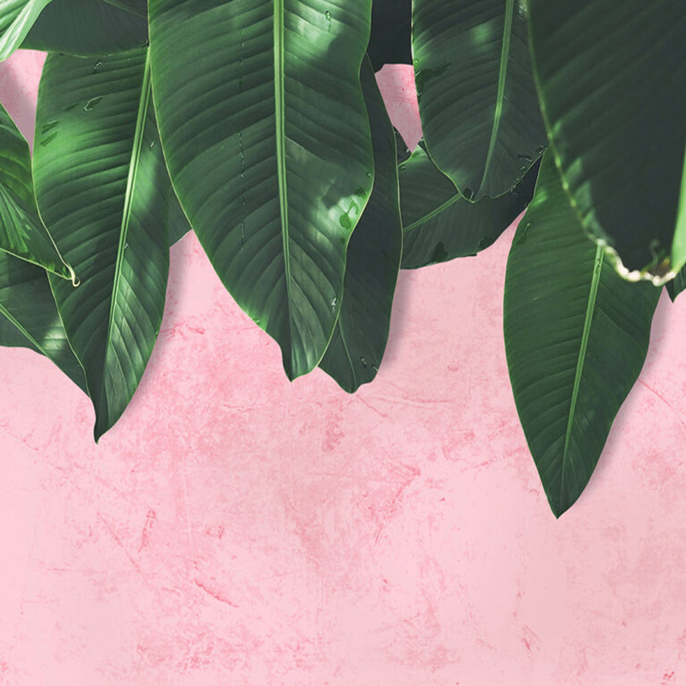 DD118544 Leaves Wall Designwalls Wallpaper by A S Creation