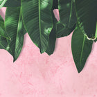 Leaves Wall Designwalls Wallpaper by A S Creation