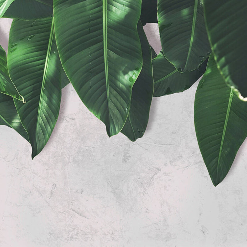 DD118546 Leaves Wall Designwalls Wallpaper by A S Creation