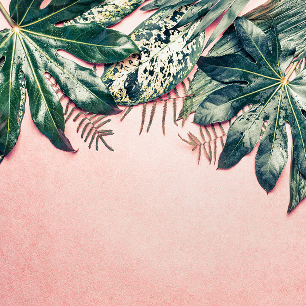 DD118548 Leaves Variety Designwalls Wallpaper by A S Creation