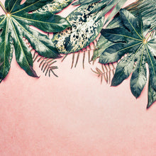 Leaves Variety Designwalls Wallpaper by A S Creation