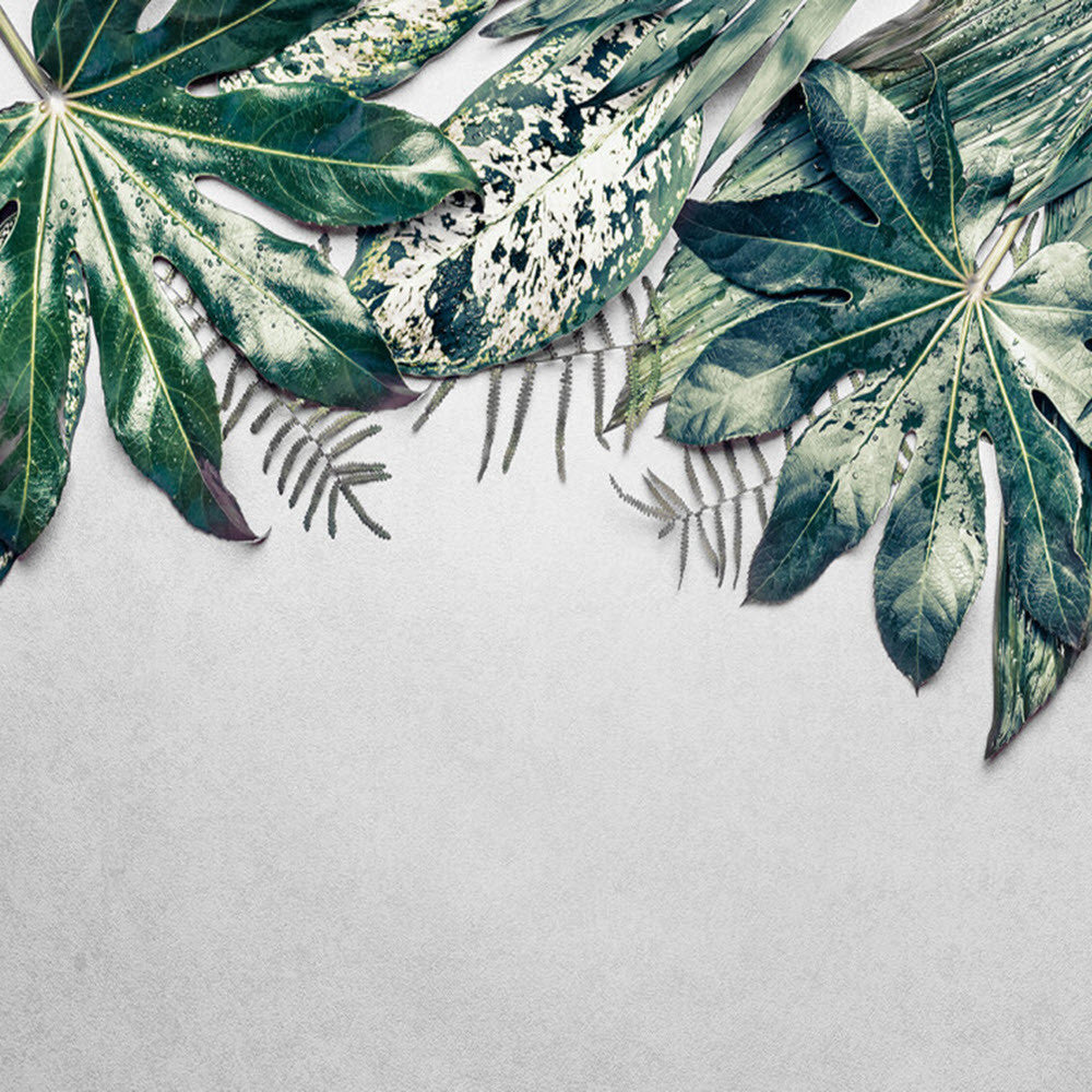 DD118550 Leaves Variety Designwalls Wallpaper by A S Creation