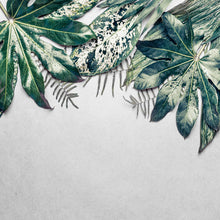 DD118550 Leaves Variety Designwalls Wallpaper by A S Creation