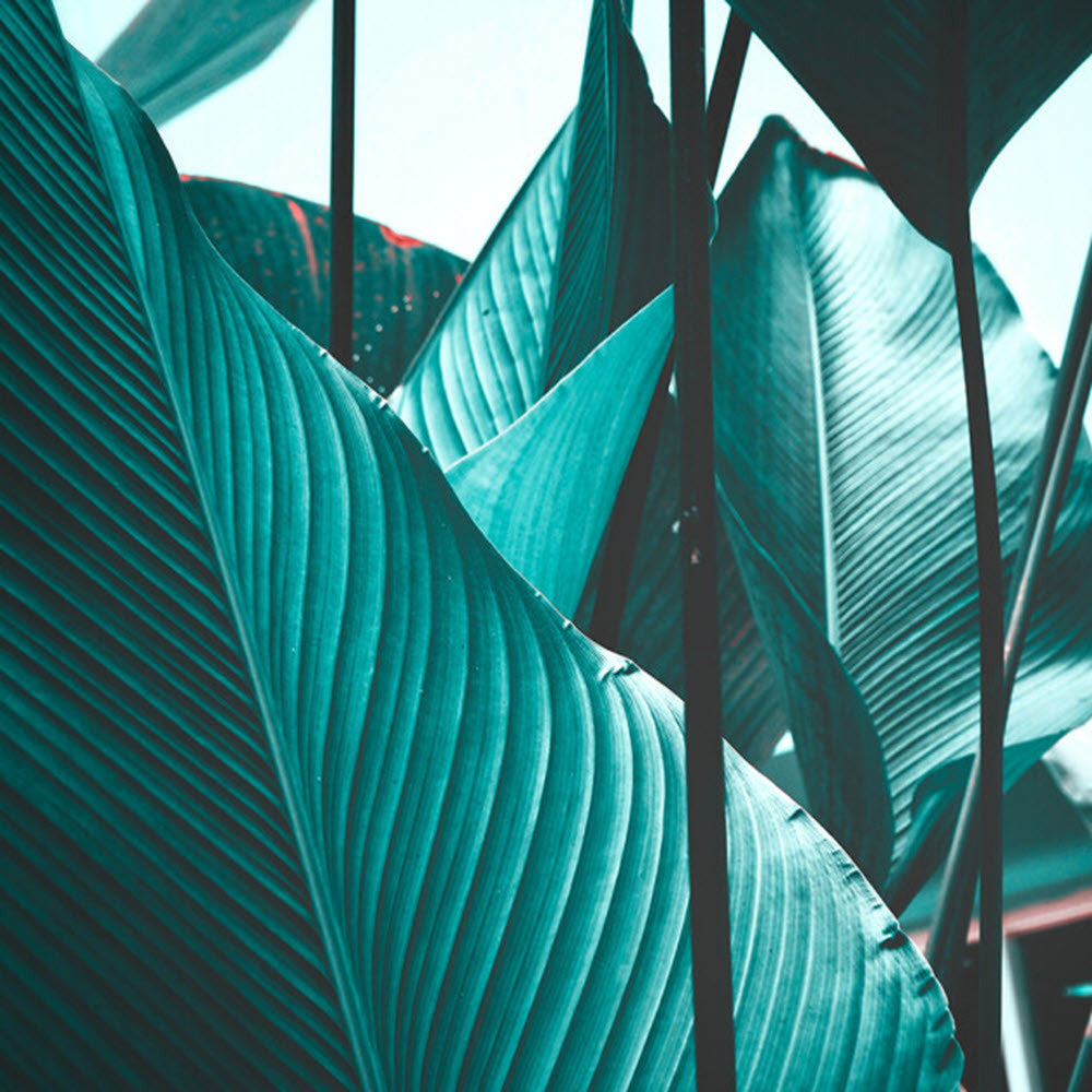 DD118558 Leaf Stalks Designwalls Wallpaper by A S Creation