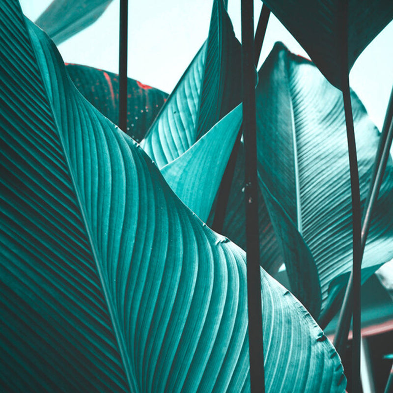 DD118558 Leaf Stalks Designwalls Wallpaper by A S Creation