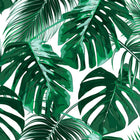 DD118572 Palm Leaves Designwalls Wallpaper by A S Creation