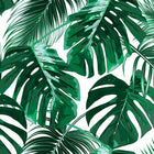 Palm Leaves Designwalls Wallpaper by A S Creation
