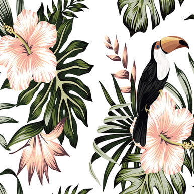 Toucan Designwalls Wallpaper by A S Creation